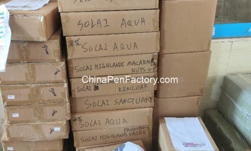 18-07-2025_1752827683_impicturefe4f5450a9bfd2fb592563d30c09093b